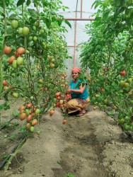 समृद्धिको खोजीमा म्याग्दीका किसान